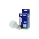 TESLA BL270665-1 – LED bulb žárovka E27, 6W, 640 lm, 6500K, studená bílá